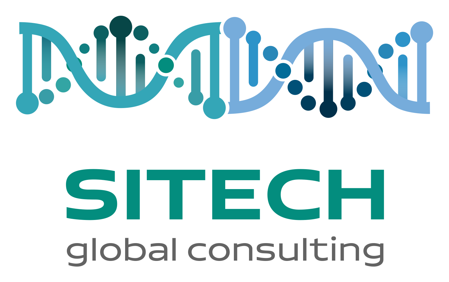 SITECH Global Consulting